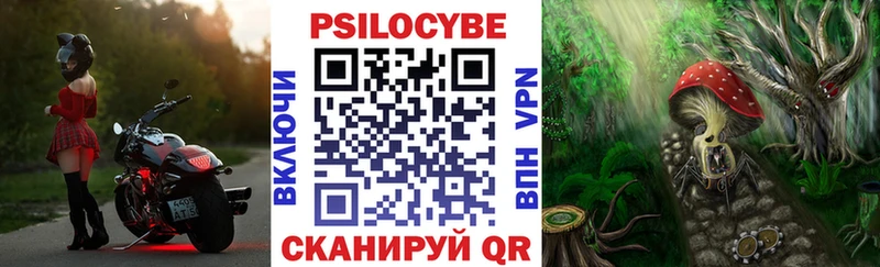 Купить закладки Сафоново Псилоцибиновые грибы Cubensis